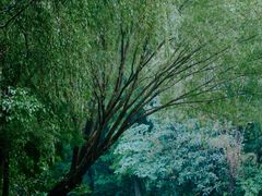 -同里国家湿地公园