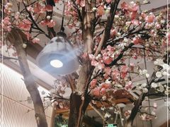 -蜜桃餐厅·伴山(湖滨商业街店)