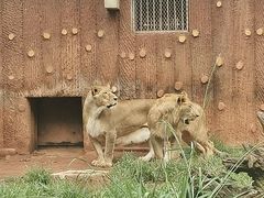 -昆明动物园