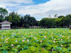 -荔湾湖公园