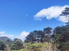 -云禾壹海景庄园餐厅