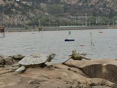 -在海一方公园
