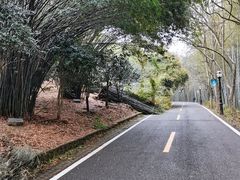 -潜山国家森林公园
