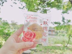 -鹅湖玫瑰文化园