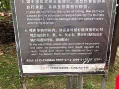 -金卉庄园