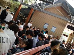 -少华山国家森林公园