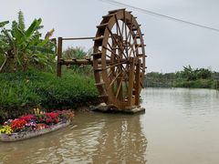 -江门古劳水乡旅游区