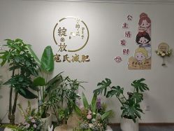 -寇氏减肥