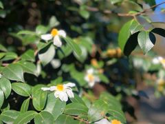 -敬亭山风景名胜区