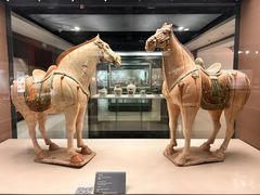 -西安大唐西市博物馆