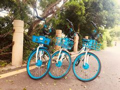 -黄金海岸环岛路