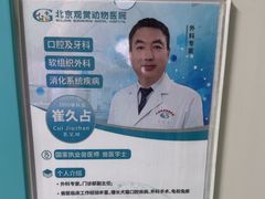 -北京观赏动物医院·24小时大型综合·猫专科·异宠专科
