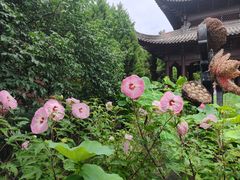 -钱王祠