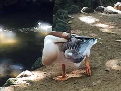 -卡塞拉自然公园