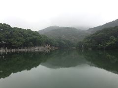 -白马涧龙池景区