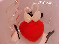 -BLACKSWAN黑天鹅(新希望店)