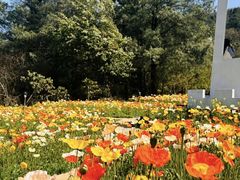 -名花谷生态庄园