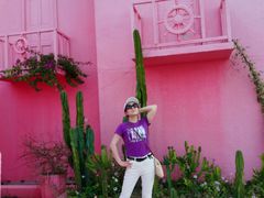 -北海金海湾红树林生态旅游区