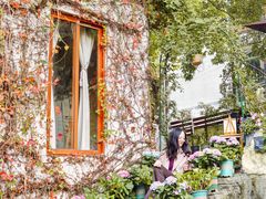 -火炉山森林公园