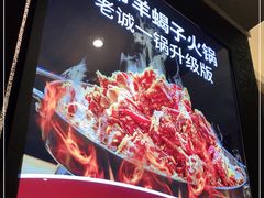 -浩爷羊蝎子火锅(望京店)