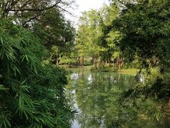 -西溪国家湿地公园