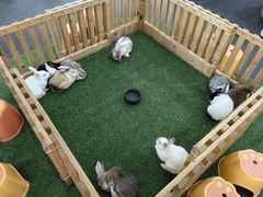 -尚泰清迈机场购物中心