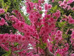 -防灾科技学院(南校区)