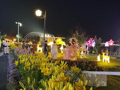 -荷兰花海