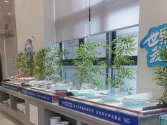 -威海蓝海御华大饭店·蓝钻美食自助百汇