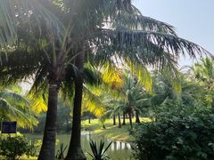 -白沙门生态公园