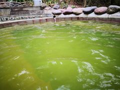 -花水湾第一村温泉大酒店