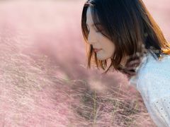 -鹅湖玫瑰文化园