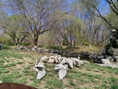 -北京野生动物园