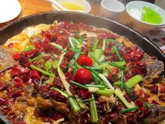 -老板恋上鱼(高新万达店)