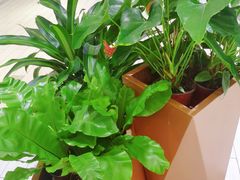 景观位-辣婆婆(航天桥店)