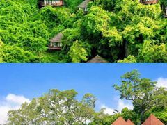 -亚龙湾国际玫瑰谷