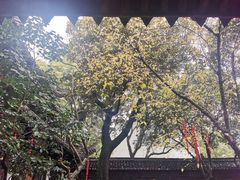 -天一阁博物院