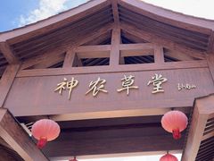 -广州神农草堂中医药博物馆