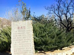 -黄金寨原生态旅游区