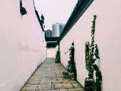 -青果巷历史文化街区