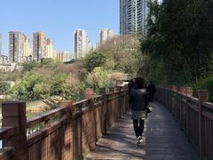-重庆彩云湖湿地公园