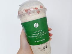 -茉酸奶(春熙路店)