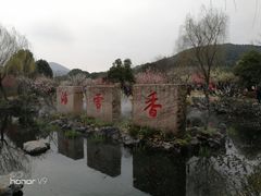-香雪海