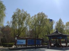 -莲花池公园