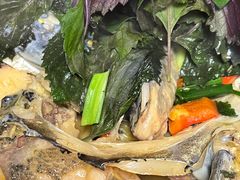 -花卉鱼庄(嘉园文景苑店)