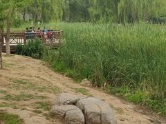-舍利塔滩地公园-无垢净光舍利塔