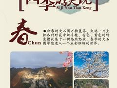 -百色大石围天坑群