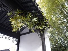 -宜兴龙背山森林公园