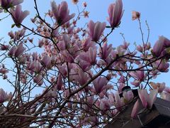 -19号私房菜(云南路店)