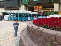 -苏州乐园森林水世界